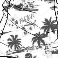 Day 7. Trip ft. Tilont