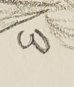 Adventures in Suramar ft. Friends